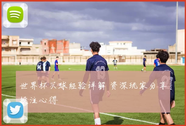 世界杯买球经验详解 资深玩家分享投注心得
