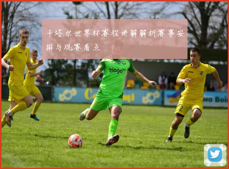 卡塔尔世界杯赛程讲解解析赛事安排与观赛看点
