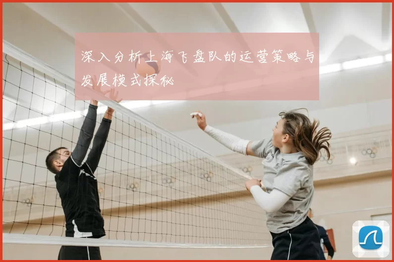 深入分析上海飞盘队的运营策略与发展模式探秘