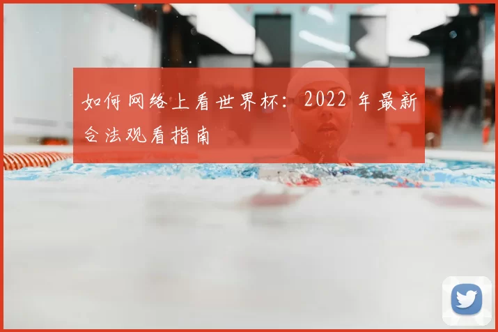 如何网络上看世界杯：2022 年最新合法观看指南