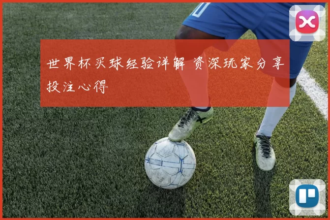 世界杯买球经验详解 资深玩家分享投注心得