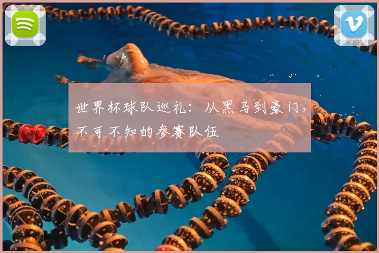世界杯球队巡礼:从黑马到豪门,不可不知的参赛队伍